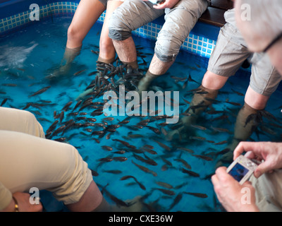 Fish foot bath, Kuala Lumpur, Malaysia Stock Photo