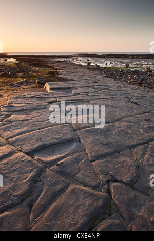 The ledges on Kilve Beach, Somerset, England, United Kingdom, Europe Stock Photo