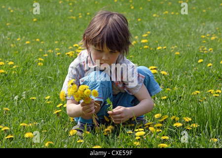 Leipzig, a child picking buttercups in a meadow Stock Photo