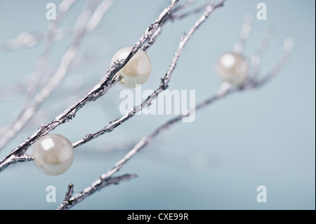 Silver branches with pearl decorations Stock Photo