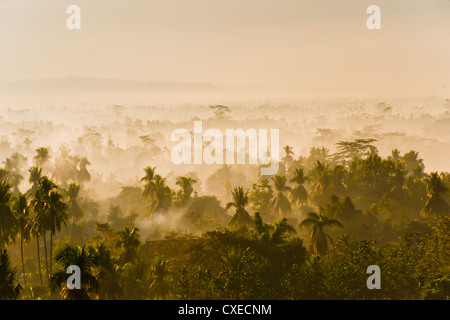 Early morning mist on the Kedu Plain at sunrise from the Borobudur Temple, Java, Indonesia, Southeast Asia, Asia Stock Photo