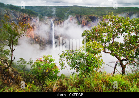 Famous Wallaman Falls in clouds. Stock Photo