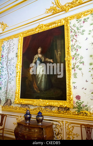 Catherine Palace Pushkin Russia, Painting of Catherine the Second, The Chinese Drawing-Room Stock Photo