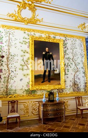 Catherine Palace Pushkin Russia. The Chinese Drawing-Room, Painting of Alexander the first Stock Photo