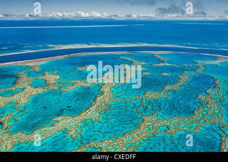 Turquoise Waters at Hardy Reef, part of the famous Great Barrier Reef. Stock Photo