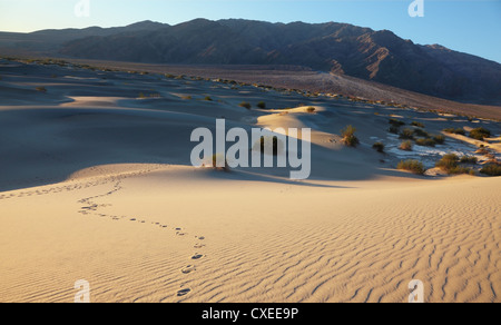 Sand dunes and mountains Stock Photo
