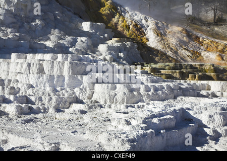 Well-known calcareous formations travertine Stock Photo