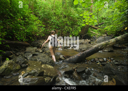 Marcy Summers in small stream, rainforest, Tanah Merah, Mt. Tompotika area, Central Sulawesi, Indonesia Stock Photo