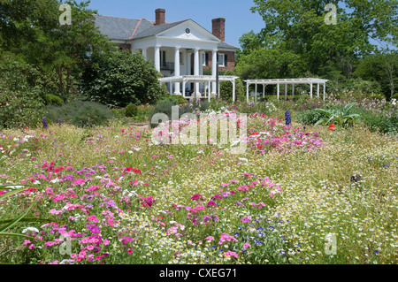 Antebellum style Boone Hall Plantation near Charleston, South Carolina is listed on The National Register of Historic Places. Stock Photo