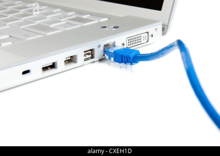 An Internet Ethernet cord  plugged into a computer on a white backgroudn Stock Photo