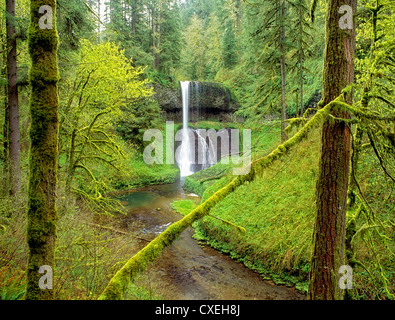 Middle North Falls in spring. Silver Falls State Park, Oregon Stock Photo