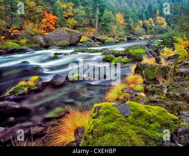 Fall colors along North Fork Umpqua River. Oregon. Stock Photo