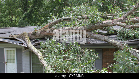 A Large Oak Tree Falls On A Small House During A Summer Storm, Caving 