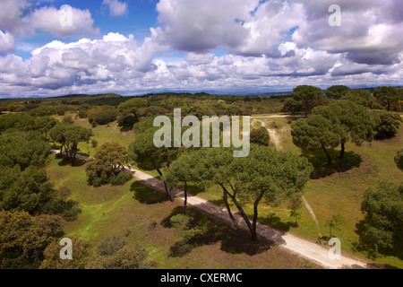 Huge park in Madrid Stock Photo