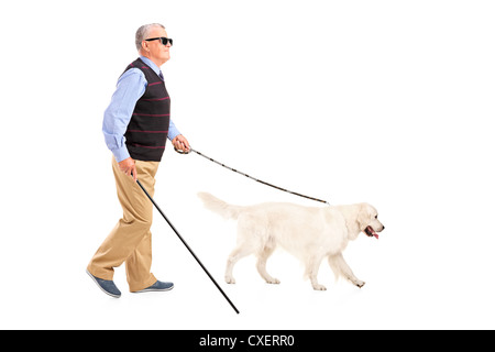 Full length portrait of a blind man moving with walking stick and his dog, isolated on white background Stock Photo