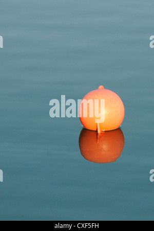 The Orange Pickup Buoy with its Reflection Stock Photo