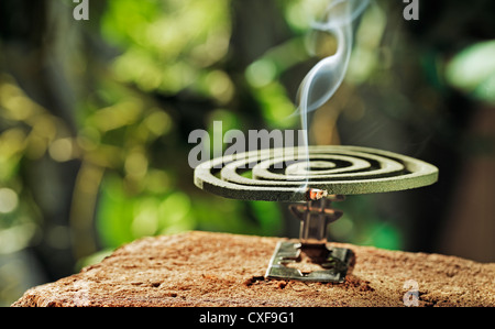 Green spiral insect repellent mosquito coil incense smoking. Stock Photo