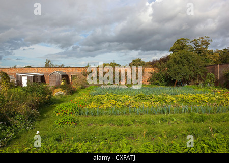 Stormy skies over an organic walled garden full of flowers and vegetable plants Stock Photo
