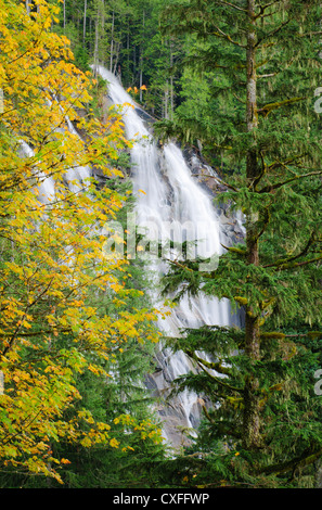 Bridal Veil Falls from trail to Lake Serene, Mount Baker-Snoqualmie National Forest, Washington. Stock Photo