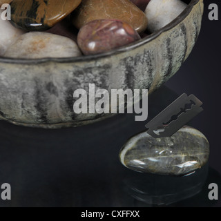 Dried razor razor Stock Photo - Alamy