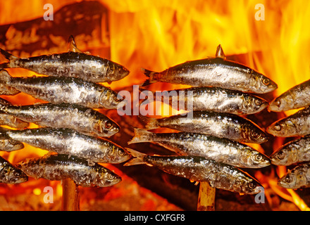 Espetos Recipe - Andalucia's Tasty Grilled Sardines - Visit