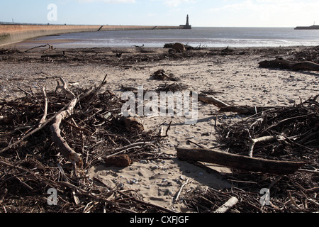 Driftwood on Roker beach following stormy weather, north east England, UK Stock Photo