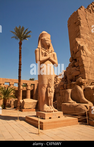 Ramses II statue, Karnak Temple, Luxor, Egypt, Africa Stock Photo
