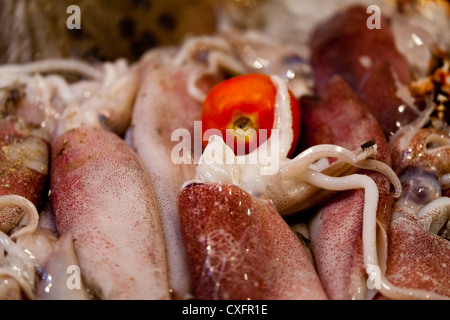 Displayed Squids in a Restaurant in Patong on Phuket Stock Photo