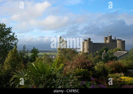 Harlech Castle in summer sunshine, Gwynedd, Wales, UK, United Kingdom, GB, Great Britain, British Isles, Europe Stock Photo