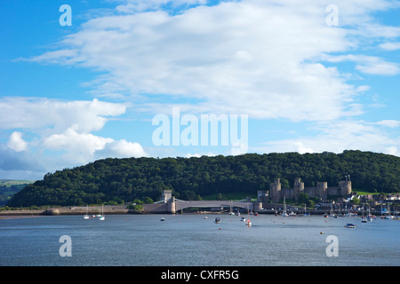 River Conwy estuary and medieval castle in summer, Gwynned, North Wales, UK, GB, British Isles, Europe Stock Photo