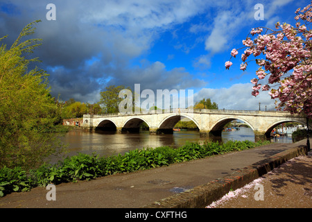 Thames River, Richmond Bridge, London, UK Stock Photo