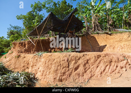 Elephant Shelter on Phuket Stock Photo