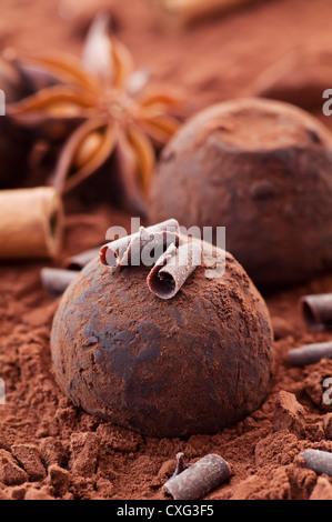 Sweet chocolate truffle with cinnamon stick as closeup on cocoa powder background Stock Photo