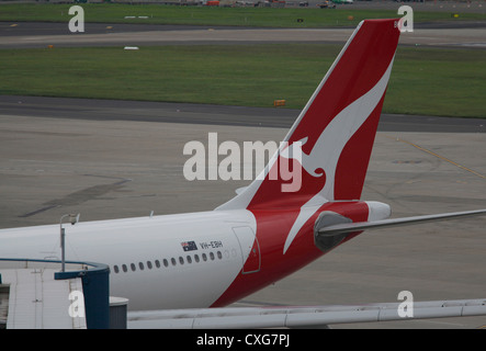 Quantas Airlines aeroplane at Sydney airport, Australia Stock Photo