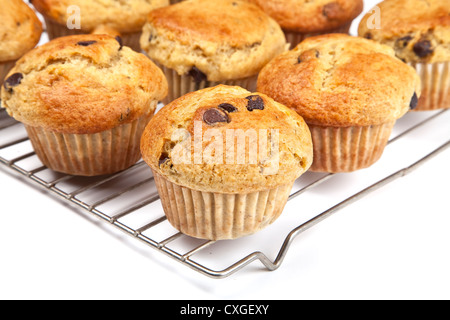 Homemade banana chocolate chip muffins on a wire rack. Stock Photo