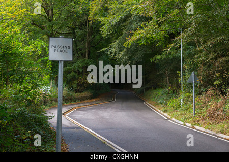 Passing Place sign on a narrow stretch of road, Duporth Cornwall UK Stock Photo