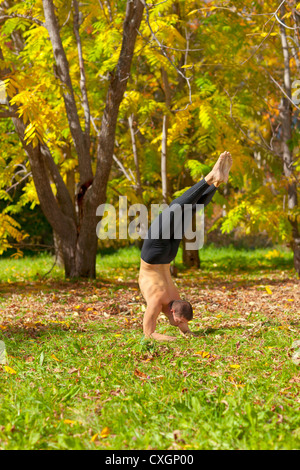 yoga pinch mayurasana pose Stock Photo