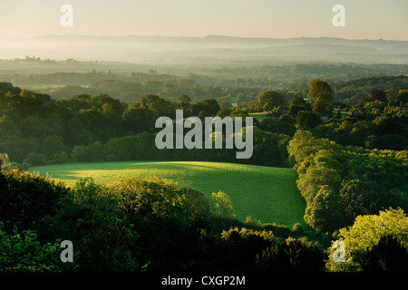 The view from Shoulder of Mutton Hill in Ashford Hangers near Petersfield, Hampshire, England in the early morning Stock Photo