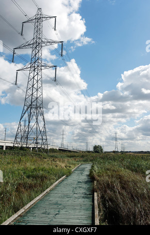 Rainham Marshes RSPB Reserve, Essex, September 2012 Stock Photo