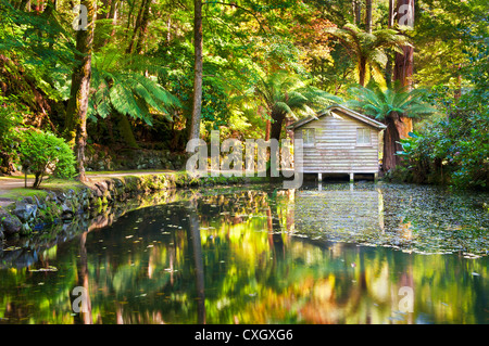 Famous boatshed in the Dandenong Ranges. Stock Photo