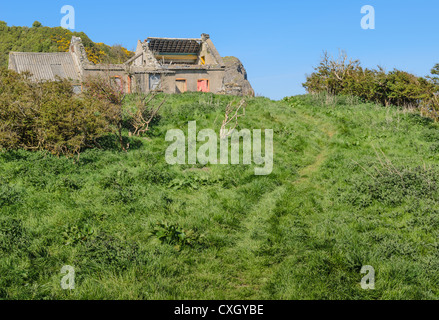 A grass track leads to an old Irish cottage ruin. Stock Photo