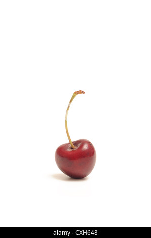 Single red cherry isolated on white Stock Photo