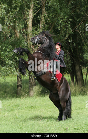 woman with friesian horse at show Stock Photo