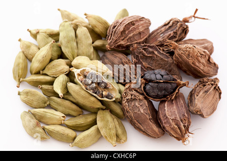 Green and black cardamom seed as closeup on white background Stock Photo