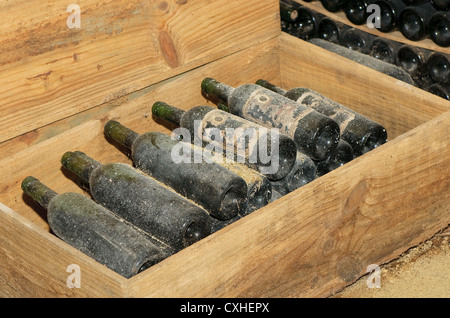 old bottles in wine cellar Stock Photo