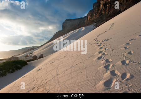 Sand dunes of Archer, Socotra island, Yemen Stock Photo