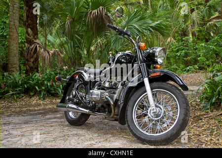 Motorcycle Suicide Shifter Stock Photo Alamy
