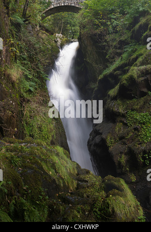 Aira Force waterfall near Ullswater Lake District Cumbria North West England UK Stock Photo