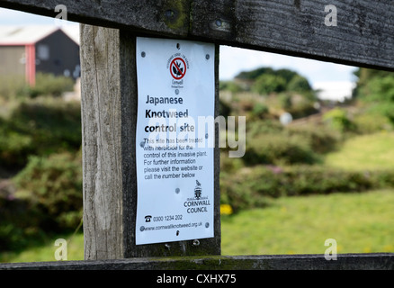 A Japanese Knotweed control site sign near Redruth in Cornwall, UK Stock Photo