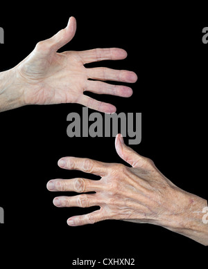The front and back of an elderly woman's hands. The subject has arthritis and shows clear signs of aging. Stock Photo